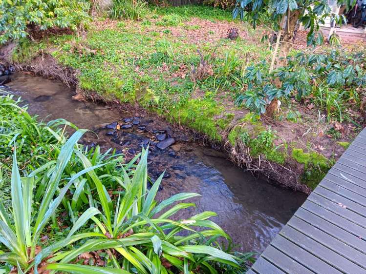 60 Phillips Street Tikokino_10