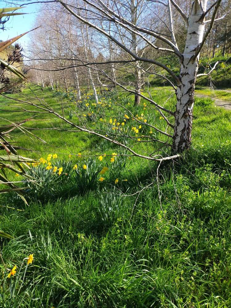 253A Kokotau Road Kokotau_51