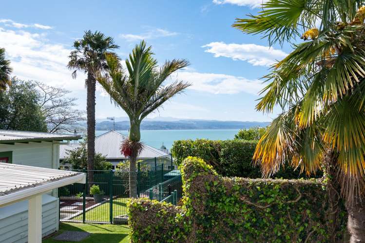 119 Chaucer Road North Hospital Hill_15