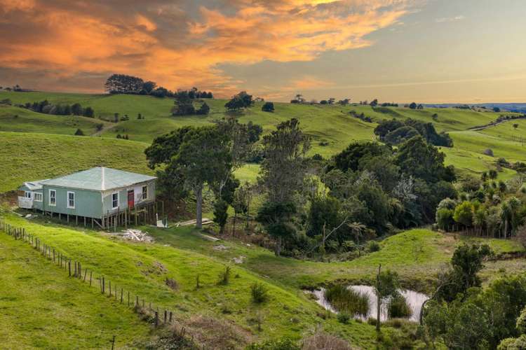 62 Cornes Road Raglan_0