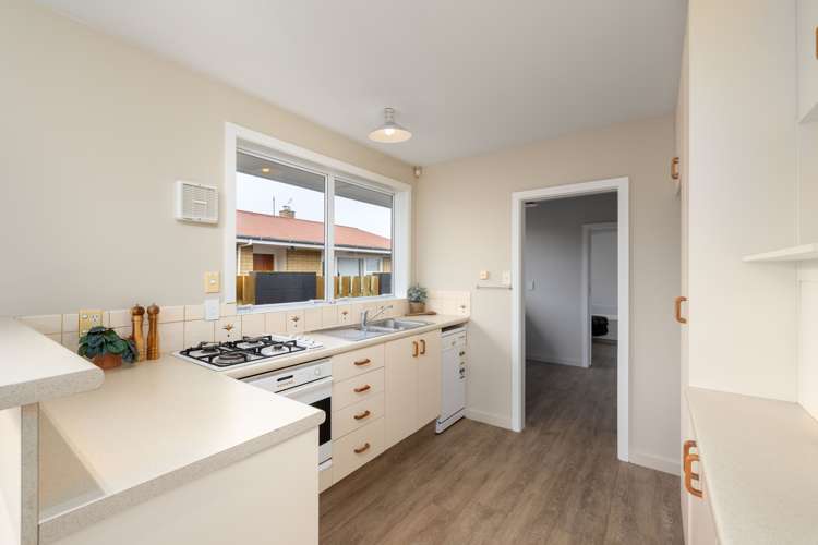 47 Woolley Street Avondale_5