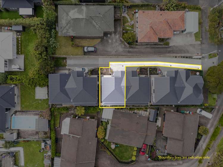 53D Alberta Street Point Chevalier_13