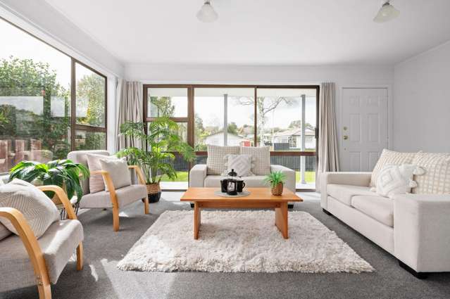 13 Manuka Street Pukete_1