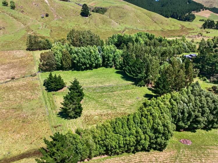 869 Norfolk Road Waingawa_27