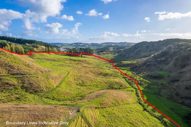 Kawhia Road (SH 31) Kawhia_2