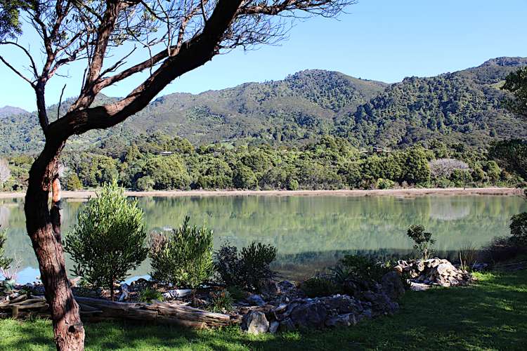 50 Totara Avenue Collingwood_2