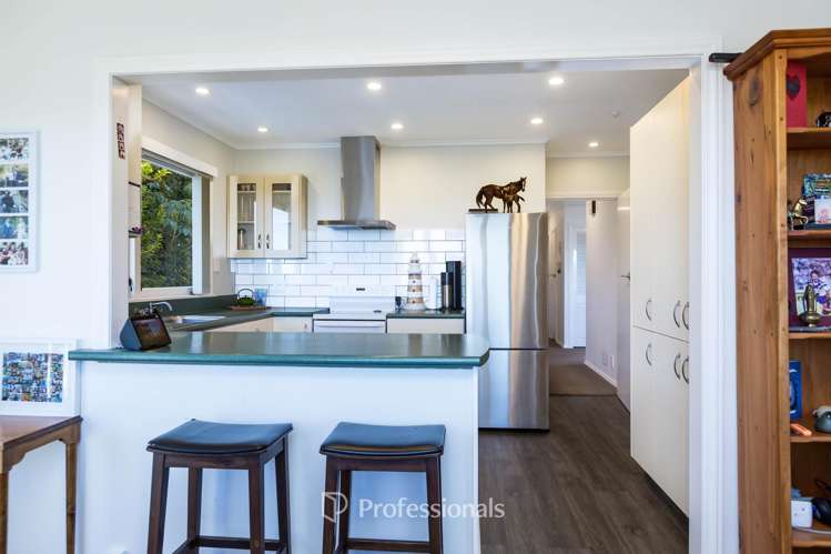 7 Alleyne Court Brown Owl_9