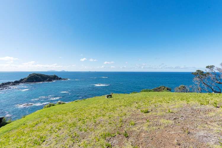 49 Dolphin Place Tutukaka_8