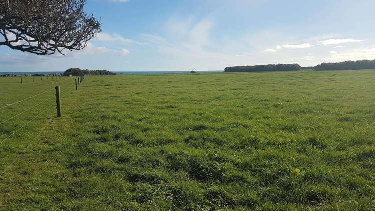 4581 South Road Opunake_4