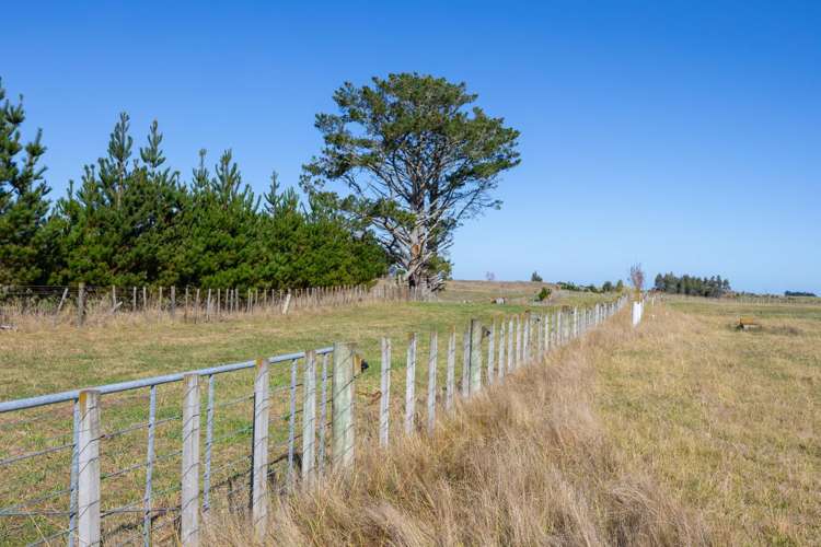 177 Downs Road Himatangi_6