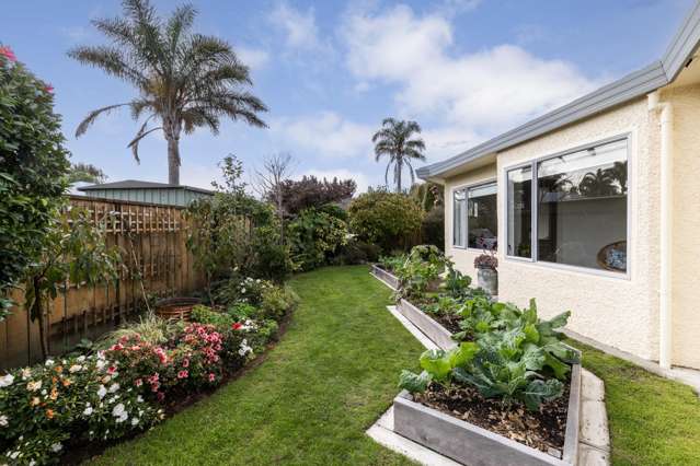 7A Wilton Row Taradale_3
