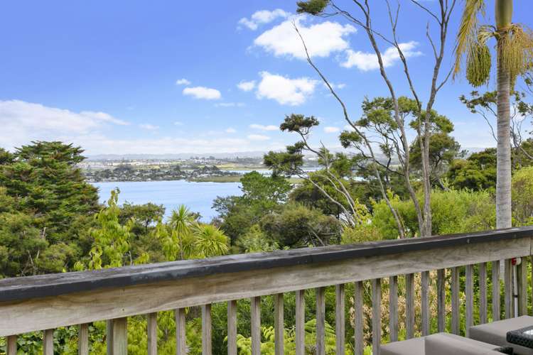 9 Chatham Avenue Paremoremo_22