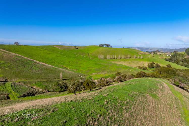 Massey Road Maungaturoto_18