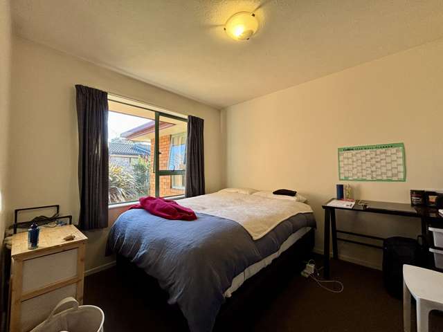 141 Lincoln Road Addington_3