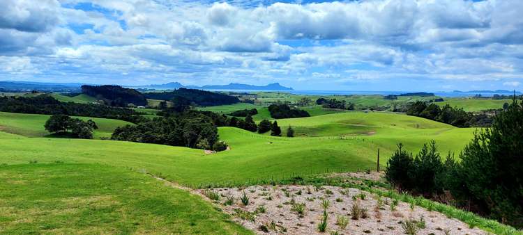 438a Glenmohr Road Waipu_14