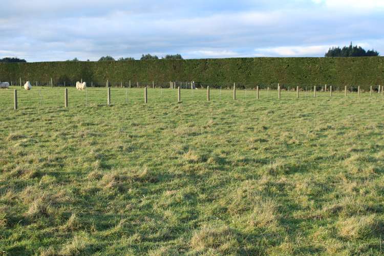 33 Manse Street Edendale_3