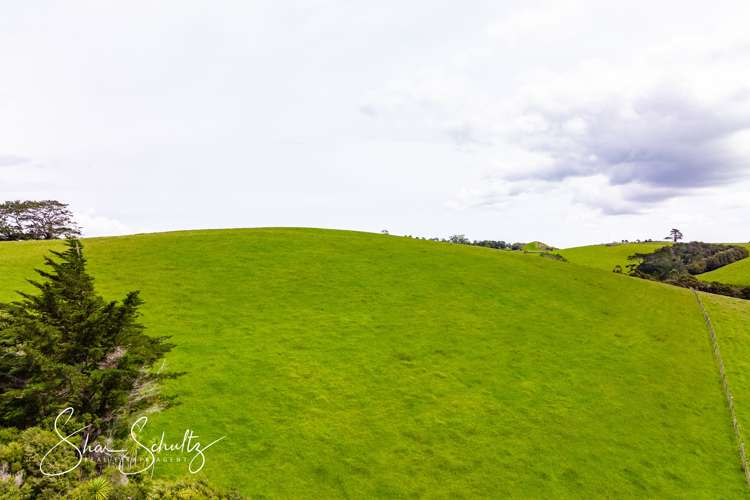 1509 Tinopai Road Tinopai_11