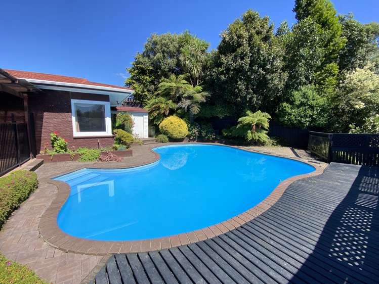 59 Glen Lynne Avenue Queenwood_17