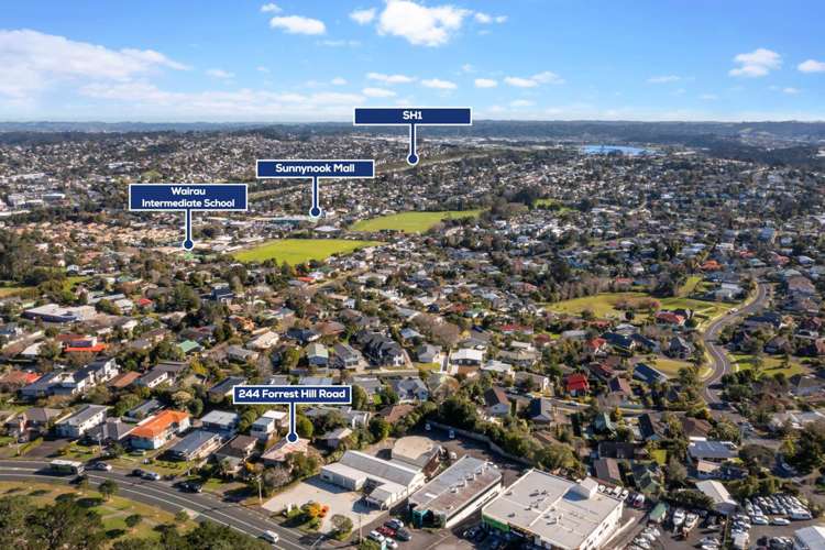 244 Forrest Hill Road Forrest Hill_23