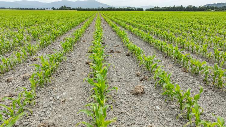 190 Bennetts Road Cust_17