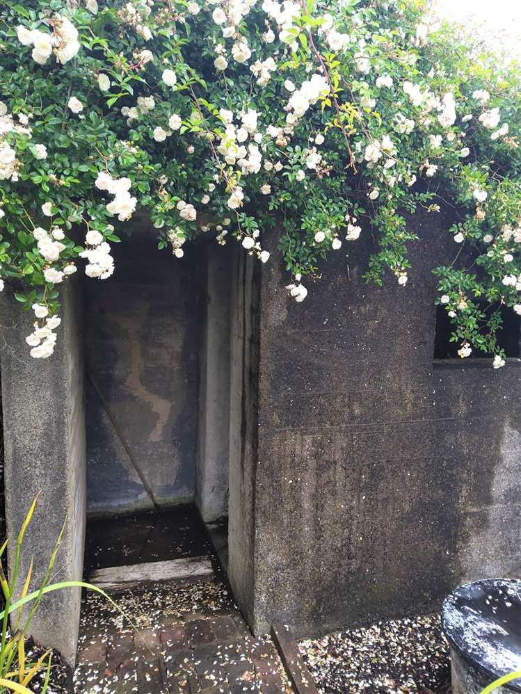 1325 East Coast Road Redvale_17