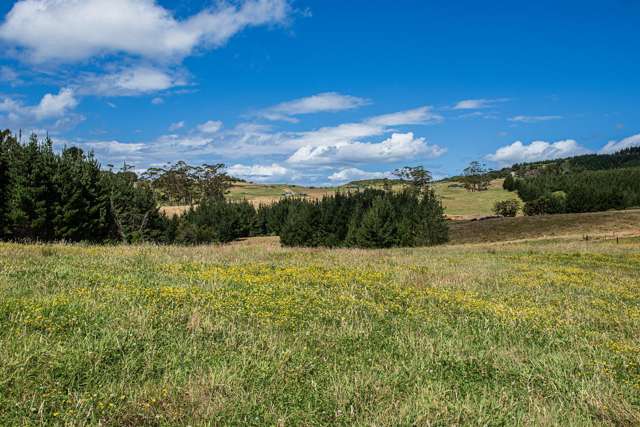 436a Glenmohr Road Waipu_3