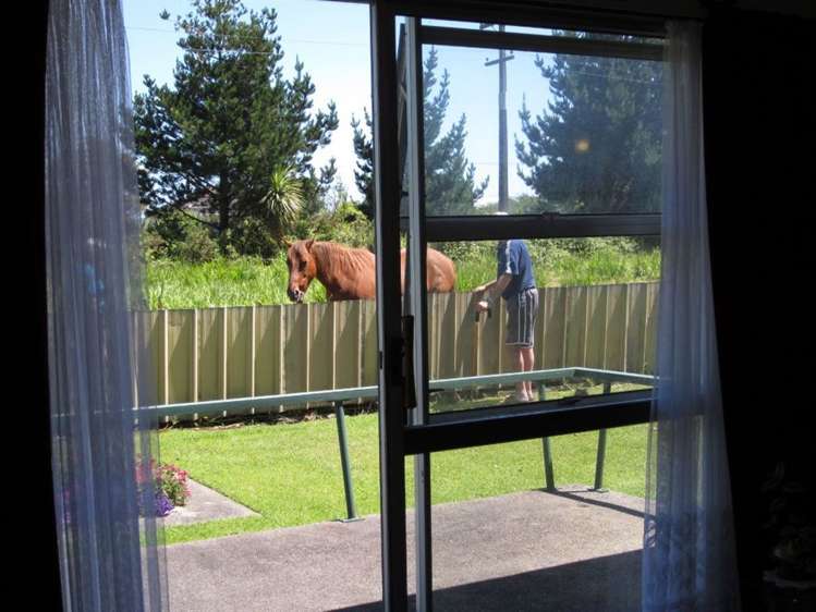 3 Ives Street Hector_9