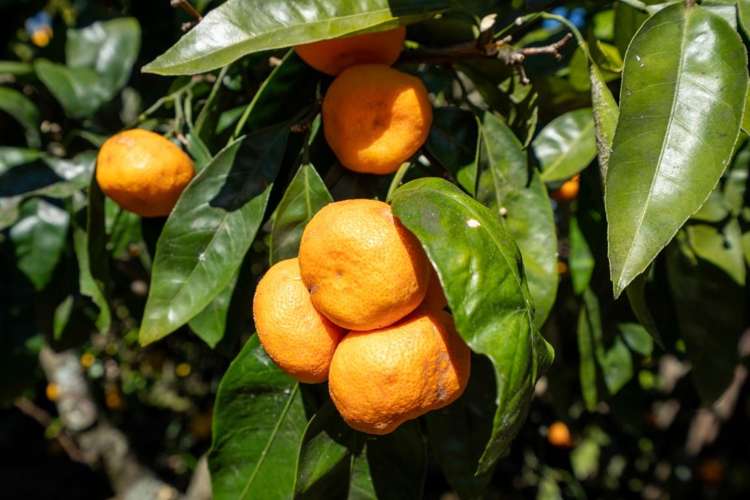 179 Victoria Street Cambridge_26