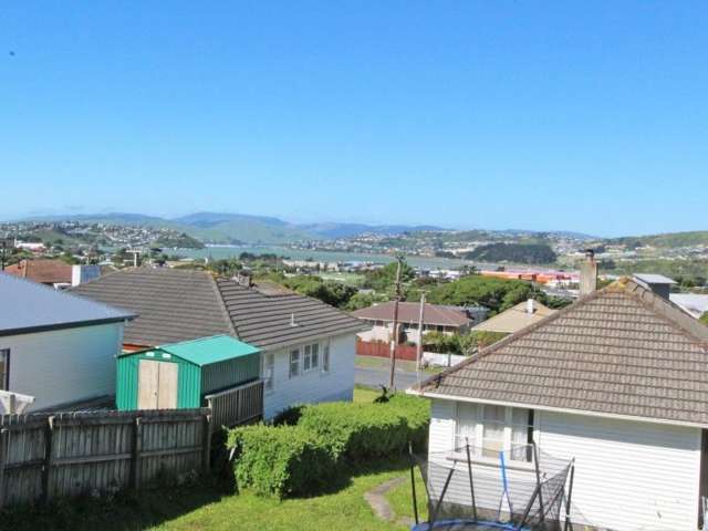 3a Waiho Terrace Elsdon_1