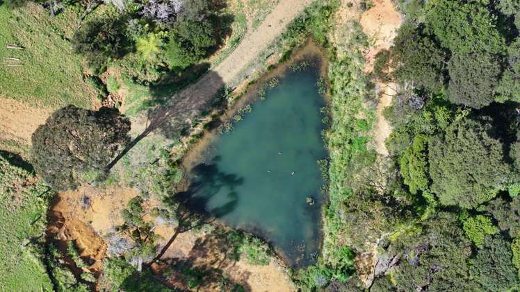 140 Kenana Road Mangonui Surrounds_6