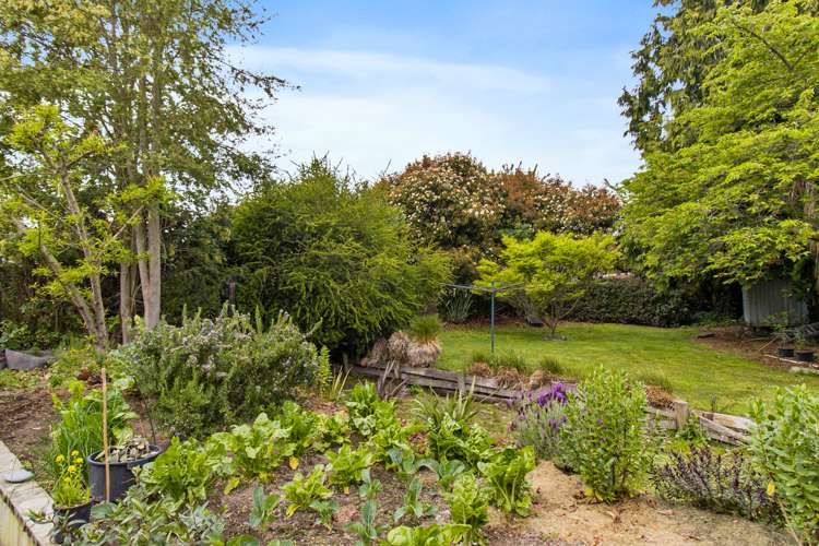 7a Shere Street Pleasant Point_16