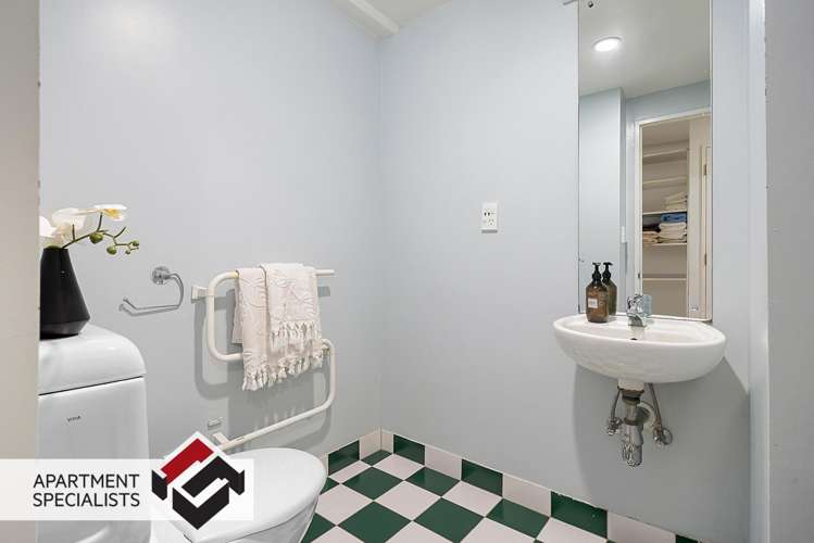 250 Richmond Road Grey Lynn_13