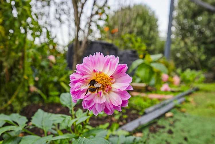 63 Waipunahau Road Waikanae_8