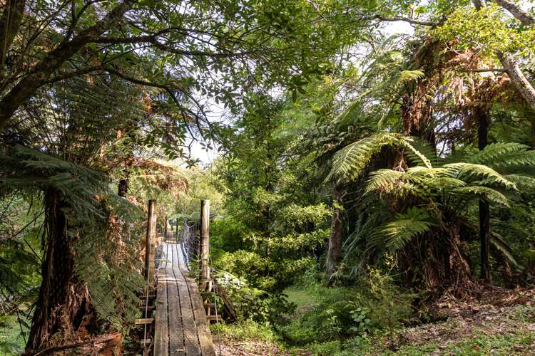 85 Tukurua Road Parapara_24