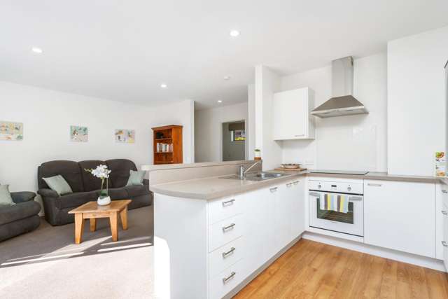 3/8 Hillsborough Terrace Hillsborough_3