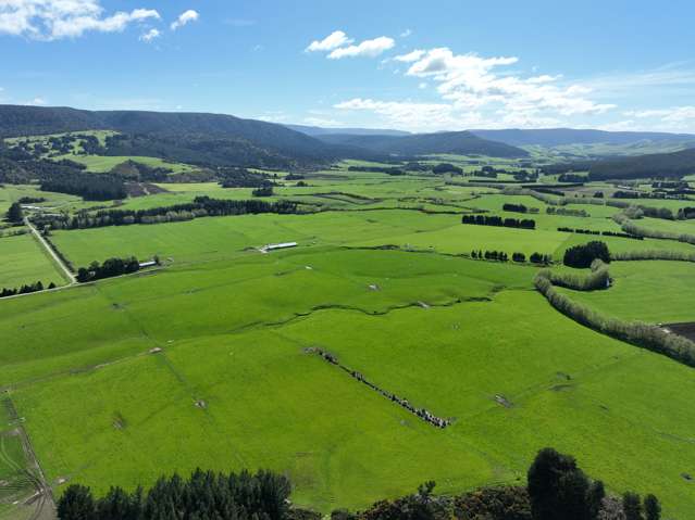 Versatile Dairy Grazing With Excellent Contour