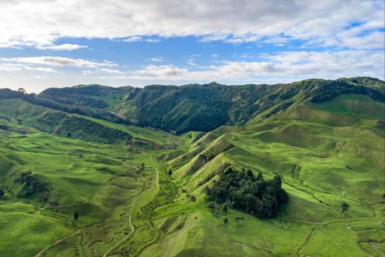 279 Taumatatotara Road Te Kuiti_2