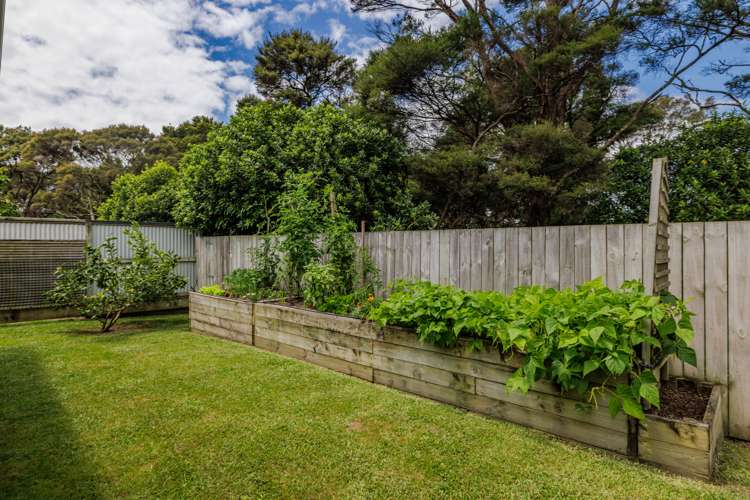 25 Halyard Loop Haruru_14