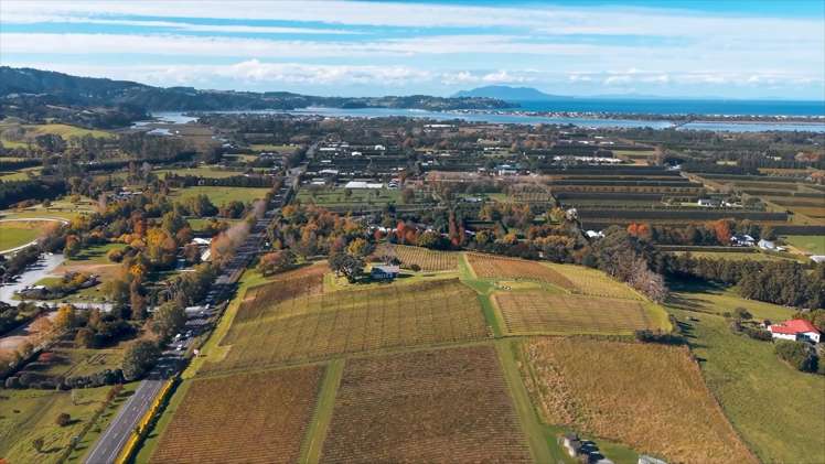 38-40 Omaha Flats Road Matakana Coast_21