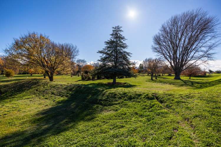 66 Dillon Street Blenheim Central_25