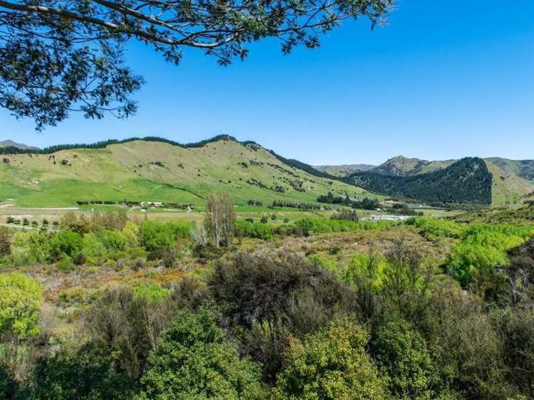 943 Taylor Pass Road Taylor Pass_18