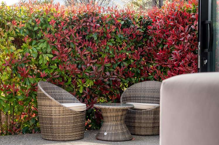 27 Pendeen Crescent Jacks Point_8