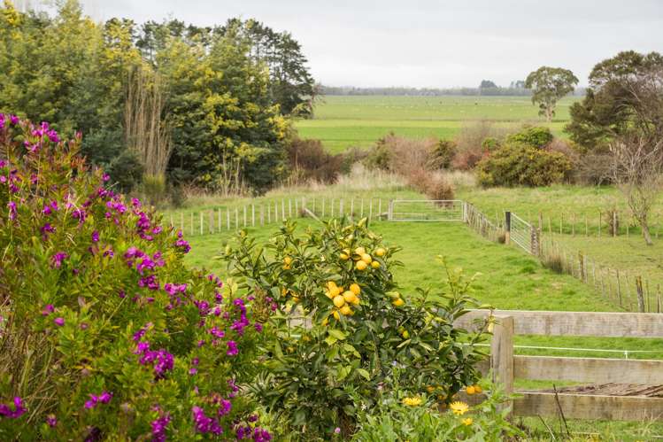 752 Makino Road Halcombe_21