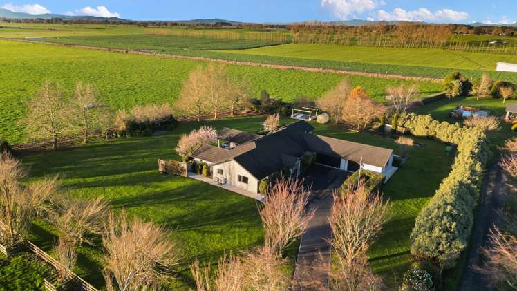 160B Boyd Road Gordonton_45