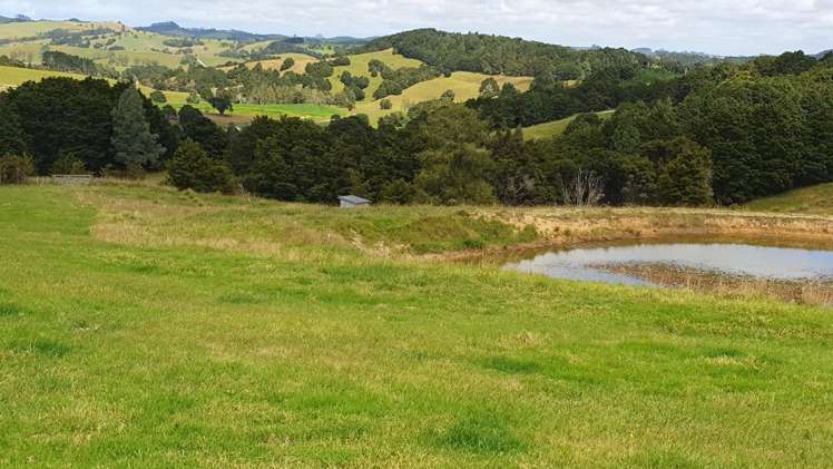 1241 Ararua Road Ararua_20