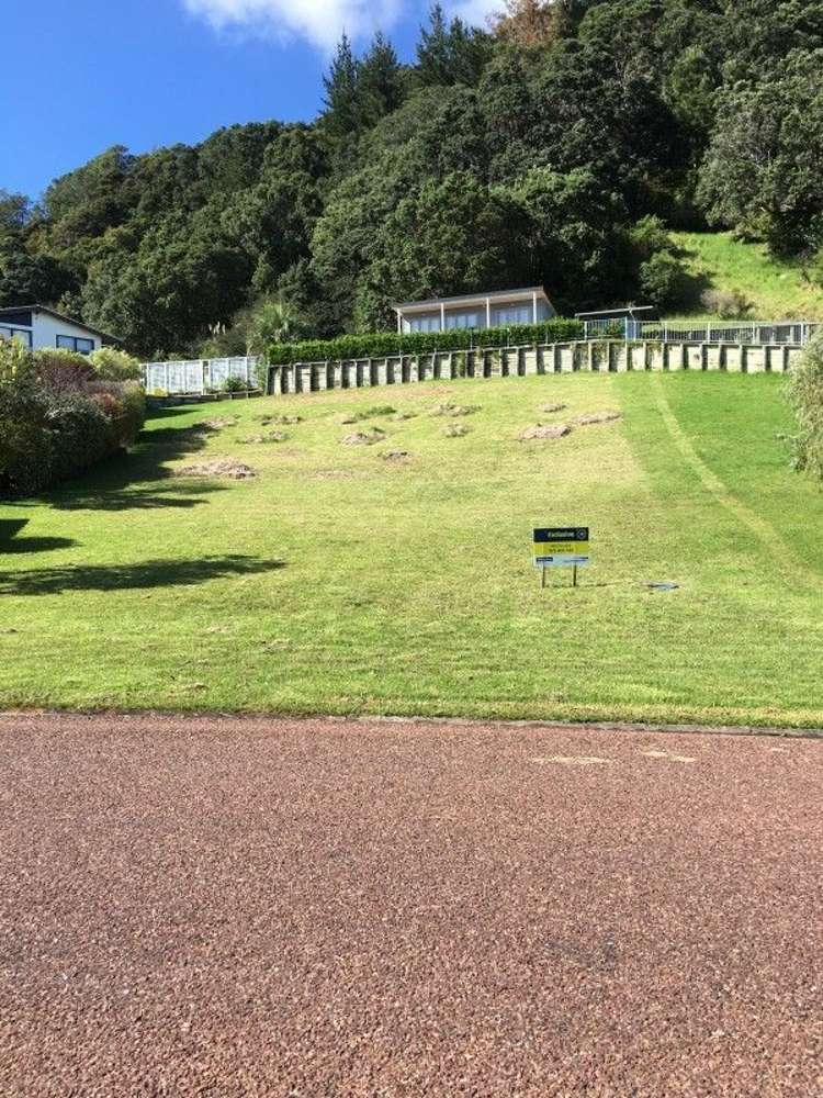 61 Holland Close Pauanui_1