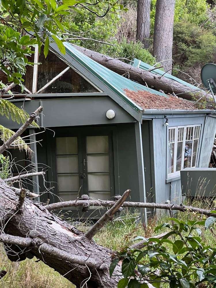 Ahitarakihi Bay Queen Charlotte Sound_9