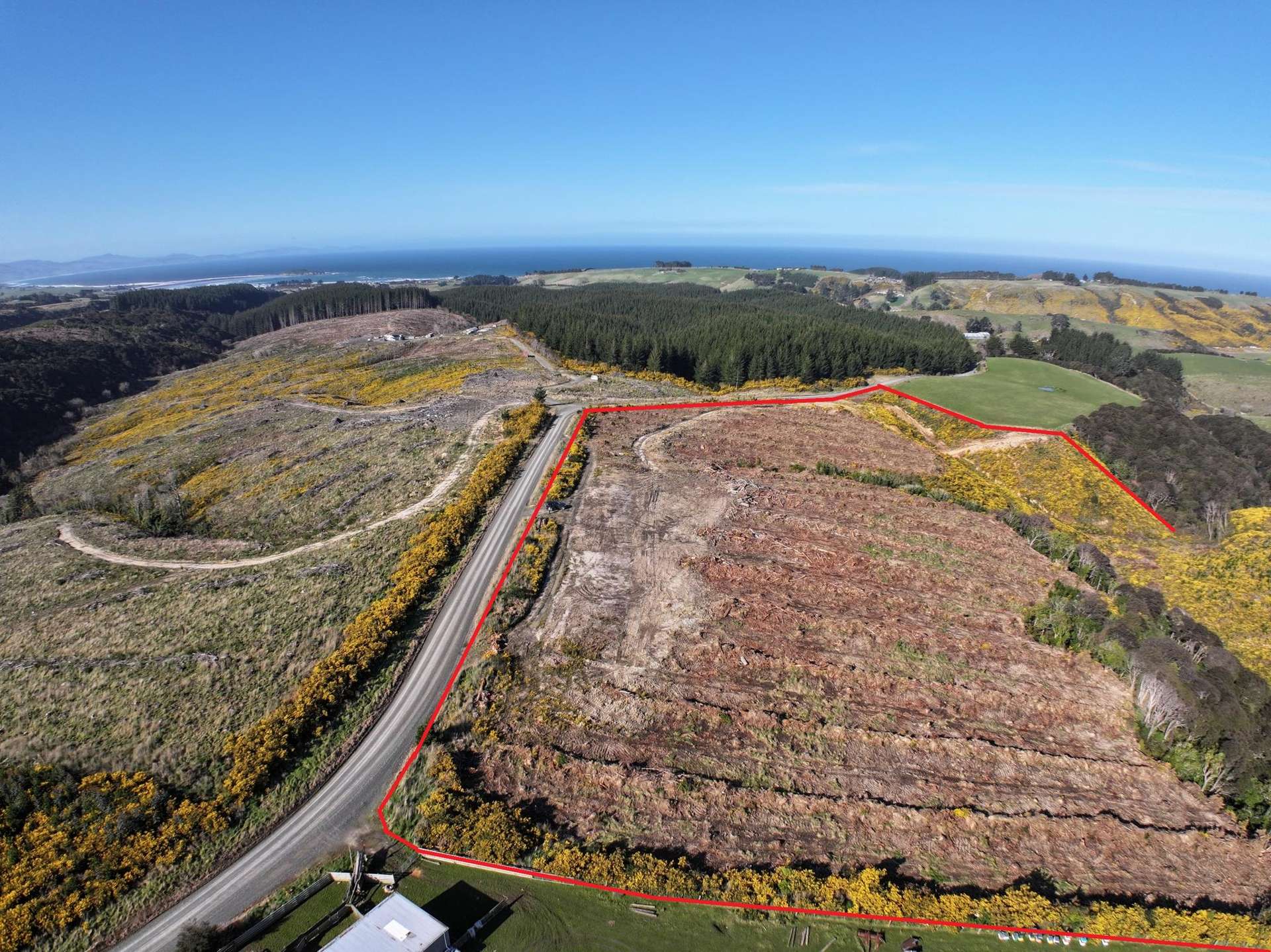 Taieri Beach Road Taieri Beach_0