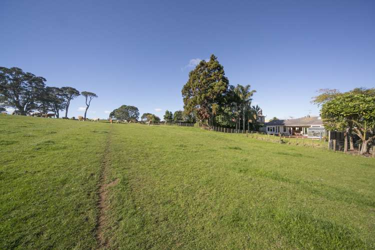 76 Campbell Road One Tree Hill_13