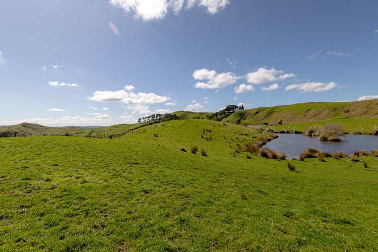 45 Te Akau Coast Road Te Akau_27